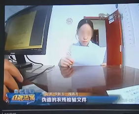 胆大妄为！青藏高原农副产品集散中心竟有人伪造农药残留检验文件